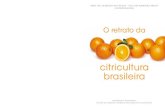 O Retrato da Citricultura Brasileira
