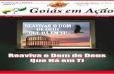Goiás em Ação, Edição 04