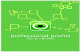 Paulo Pinheiro - Professional Profile