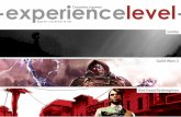 Experience Level