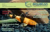 Revista Aqualon 4a Ed Julho / Agosto / Setembro 2009