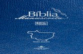 Bíblia Manuscrita - MT - Volume 4