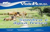 Revista Visão Rural 09