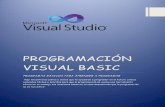 PROGRAMACIÓN VISUAL BASIC