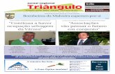 Jornal Triangulo - 181