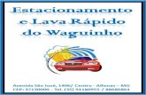 lava rapido waguinho3