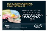 GUIA DE NAVEGAÇÃONO STUDENT CONSULTE NO NETTER 3D FRANK