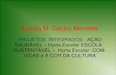 E.M. Cecilia Meireles