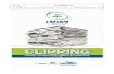CLIPPING /FAPEAM