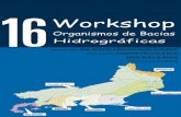 Workshop Organismos de Bacias Hidrográficas