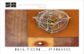 Nilton Pinho