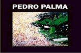 PEDRO PALMA Brochura Nº 7 - 2006 - 2007