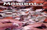 Revista Momento Espírito Santo -  Edição 33