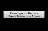Domingo de Ramos - Santa Maria
