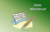 Ciclo Menstrual