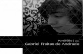 Gabriel Freitas de Andradede | Portifólio 2011