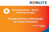 Luiz Otávio_ Koblitz Energia_Fontes Primárias_REC  24 03 14