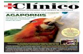 Revista virtual Nosso clínico 90 - Degustação