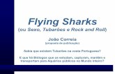 Flying sharks proposta publicação