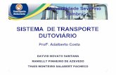 Sistema de transporte Dutoviário