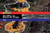 De Olho na Bacia do Xingu