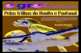 Expedição Pantanal Sul