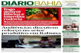 Diario Bahia 07-02-2013