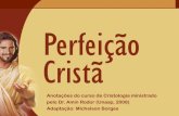 Michelson Borges - Estudo: Perfeicao Crista