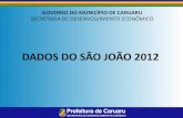 Pesquisa revela dados do São João 2012 em Caruaru