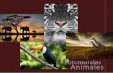 Catálogo Animales