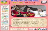 Revista Multicultural Brasil & Itália - Ano II - nº 14 - Novembro 2010