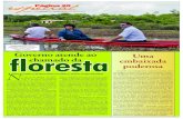 Jornal Página 20 - Especial Chamado da Floresta