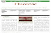 07 Fluorose