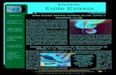 Edite Estrela - Newsletter Nº 8