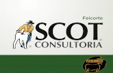 Scot Consultoria na Feicorte 2011