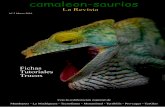 camaleon-saurios nº3