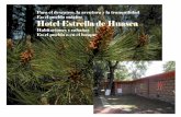 Hotel Estrella de Huasca