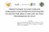 PRODUTIVIDADE DO CAFÉ CONILON CONDUZIDO COM DIFERENTES POPULAÇÕES DE HASTES