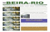jornal BEIRA-RIO Edição nº 805
