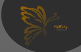 FlyBaby - Catálogo 2011-2012