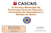 Tema 6 prevençao de emergencia e gestao do risco