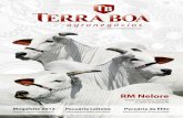 Terra Boa Agronegócios - Ed 04 Set/Out 2012 - RM Nelore