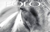 Revista Polo Sul | edição 12
