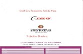 Concurso capa do caderno 2012- 4TD