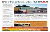 Jornal Vertentes de Minas - VI