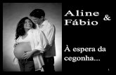 Fotos Aline e Fábio