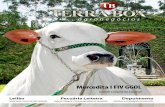 Terra Boa Agronegócios - Ed 12 Mar/Abri 2014 - Mercedita I FIV GGOL Campeã da Expoinel