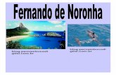FERNANDO DE NORONHA