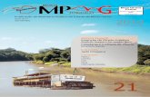 Revista MPMG Jurídico nº 21