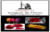 Catálogo de Flores